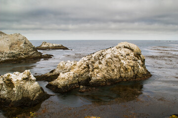 Point Lobos, California