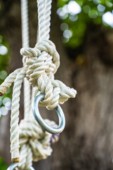 A vertical low angle shot of a rope hanging on a tree