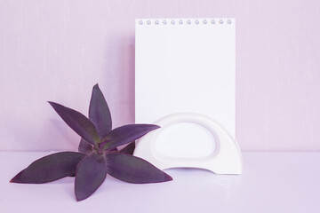 Festive purple box with a bow on the table. Flower and sheet for text on the table. Content for congratulations