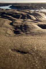 footsteps on the beach
