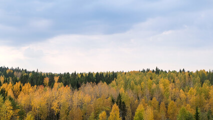 Fototapeta premium Autumn landscape of Karelian forest and sky