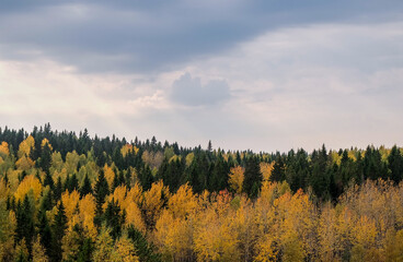 Autumn landscape of Karelian forest and sky
