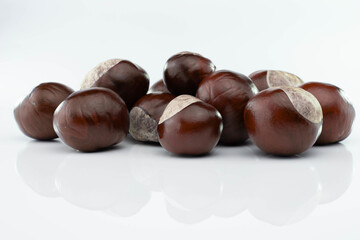Freshly picked chestnuts from the tree about.