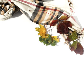 Autumn background. Scarf in a cage and  autumn leaves isolated on white backdrop top view. Copy space