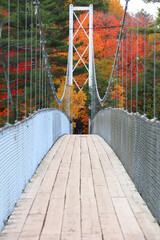 Tall suspension bridge with fall foliage in rural Quebec
