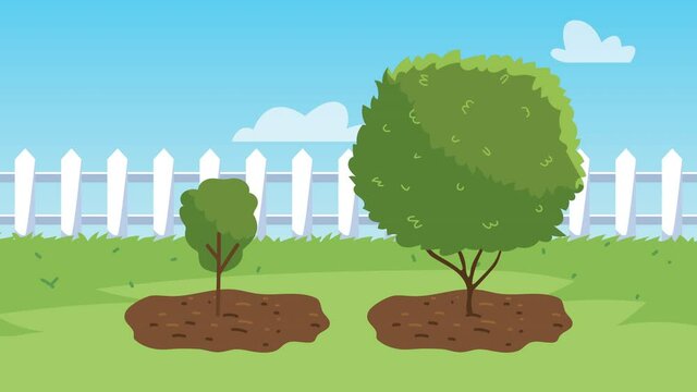 gardening animation with trees and fense scene