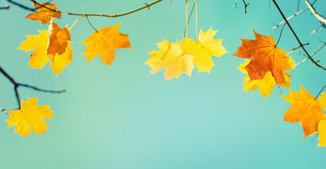 Naklejka na ściany i meble Beautiful Nature Autumn Background