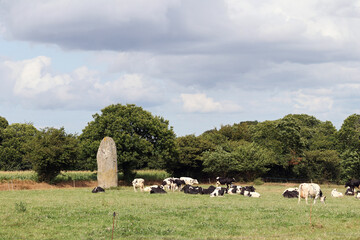 Menhir of Kerguezennec in the middle of grassland, Begard, Brittany, France