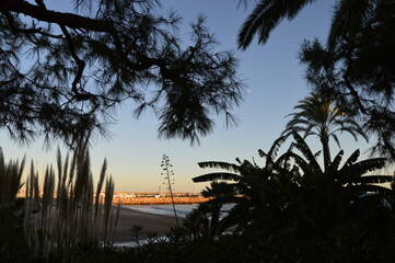 Vistas con encantos de la playa