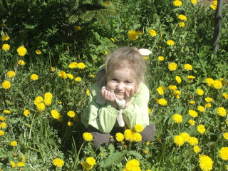 Little girl in dandelions