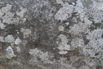 Grunge texture with grunge background