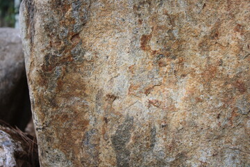 Grunge texture and background