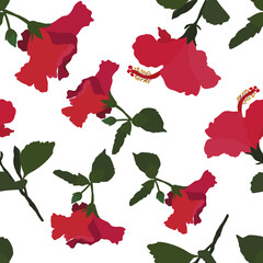 Vector seamless pattern with hibiscus in a white background.