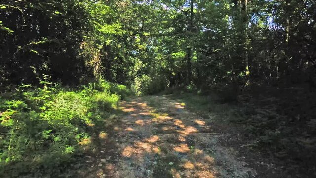parcours sur un chemin dans les bois