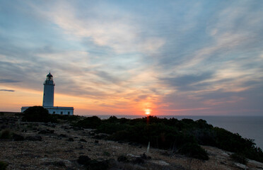 Obraz premium Paseando por el faro de cap de barbaria (Formentera-España)