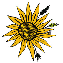 Sunflower digital design. Vector illustration.