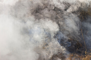 Gray thick smoke with blue streaks on the background of smoldering hay. Dark curls and openwork shapes.