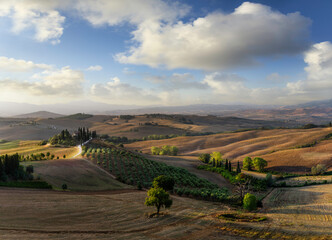 Obraz premium Beautiful Tuscan Landscape, Val d'Orcia region in Italy