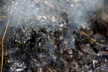 Background of black burnt grass and ash. Gray openwork smoke with blue streaks.