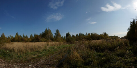 Autumn walks through forests and fields, beautiful panorama.