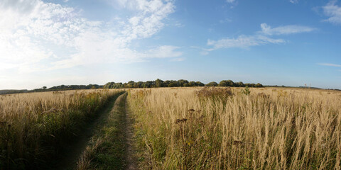 Fototapeta na wymiar Autumn walks through forests and fields, beautiful panorama.