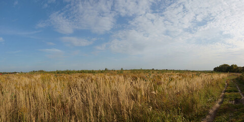 Autumn walks through forests and fields, beautiful panorama.