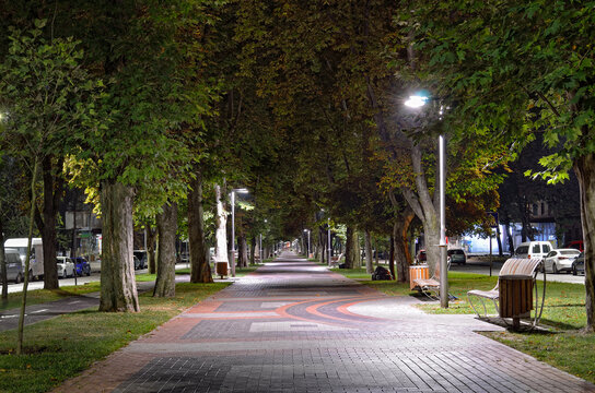 Streets, parks and squares of the night city. Night city lighting.