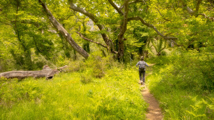 Obraz premium Woman with a backpack hiking in Zagoria Nature Reserve in Greece