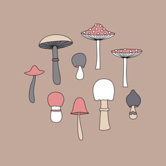 collection of hand-drawn inedible mushrooms, toadstools. vector.