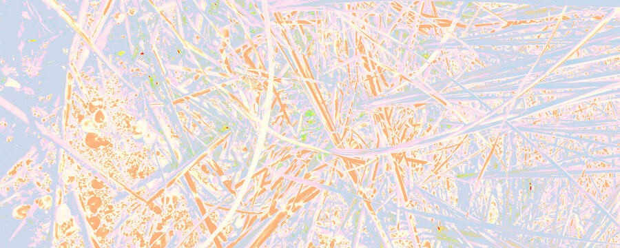 Orange Flora Decoration. Pink Flower Image. Blue Woman Design. Bright Trendy Wallpaper. White Amazing Wallpaper. Pastel Summer Decoration. Pastel Abstract Pattern.