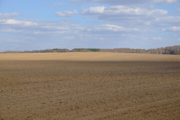 A plowed agricultural field. Blue sky over a farm field.