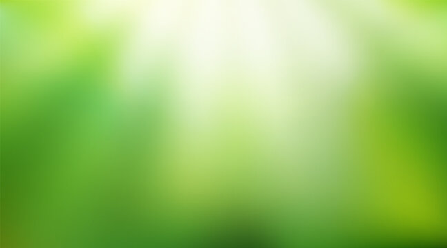 Natural blurred background. Abstract Green gradient backdrop with sunlight rays. Ecology concept for your graphic design, banner, poster or website. Vector illustration.