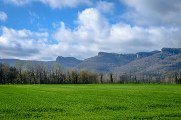 Fototapeta na wymiar Spring landscape with green grass (Vall d'en Bas, Catalonia, Olot, Spain)