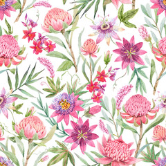 Beautiful vector seamless floral pattern with watercolor summer passionflower and waratah protea flowers. Stock illustration.