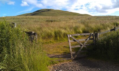 Holztor in den schottischen Highlands