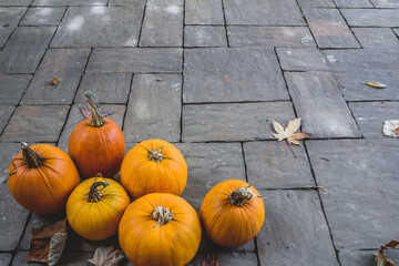 A lot of orange colored pumpkns ready for pumpkin cakes, pie, decoration for Halloween. Autumn background