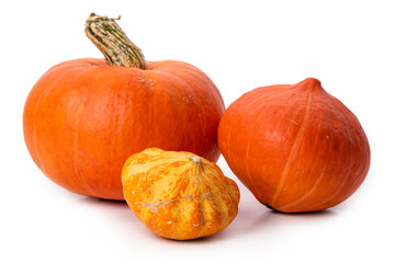 Orange pumpkins on a white background. Isolate