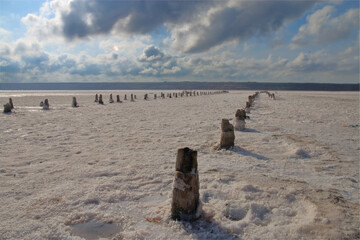 Remains of old piers on the salt marsh.