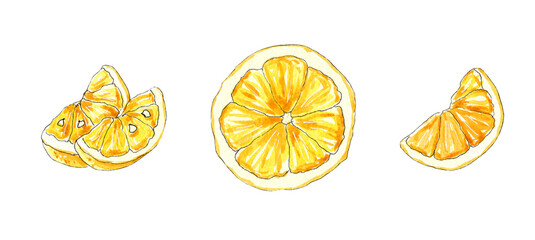 Hand painted watercolor lemon slices, small citrus fruit set.