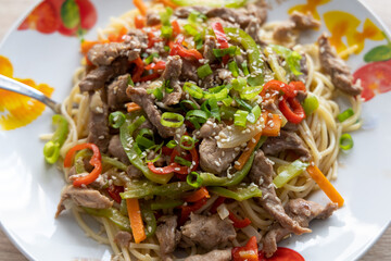 Homemade spaghetti with meat and vegetables in a white dish