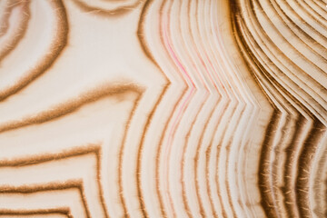 closeup of contrast agate brown light lines