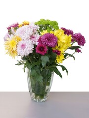 multicolor chrysanthemum flowers in vase closse up