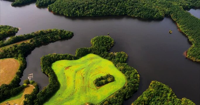 Lime Green Field at Edge of Lake and Forest in Teer, North Carolina at Cane Creek Reservoir. A distinctively lime green field is bordered by trees and a lake. We fly over the lake into a forest. Visua