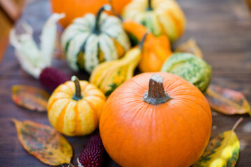 Background of decorative autumn pumpkins