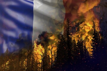 Forest fire natural disaster concept - flaming fire in the woods on France flag background - 3D illustration of nature