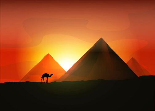 Camel on the background of the Egyptian pyramids