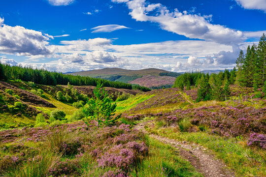 A bright valley