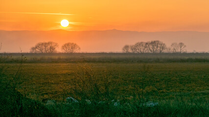 Upper Thracian lowland valley from Radinovo village at sunset over the field of alfalfa next to Potoka river and looking far behind to the north slopes of Rhodope Mountains in Bulgaria