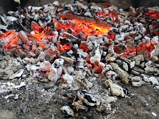 Wood fire in the garden - fireplace - camp fire