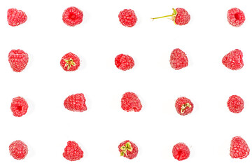 Raspberry berries laid out in lines on a white background in various poses
